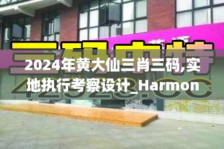 2024年黄大仙三肖三码,实地执行考察设计_Harmony款32.929-3