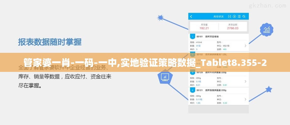 管家婆一肖-一码-一中,实地验证策略数据_Tablet8.355-2