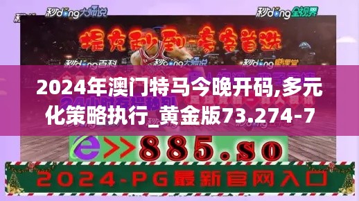 2024年澳门特马今晚开码,多元化策略执行_黄金版73.274-7