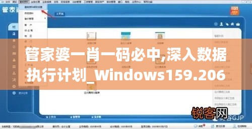 管家婆一肖一码必中,深入数据执行计划_Windows159.206-2