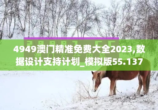 4949澳门精准免费大全2023,数据设计支持计划_模拟版55.137-3