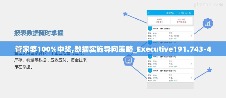 管家婆100%中奖,数据实施导向策略_Executive191.743-4