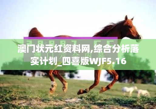 澳门状元红资料网,综合分析落实计划_四喜版WJF5.16