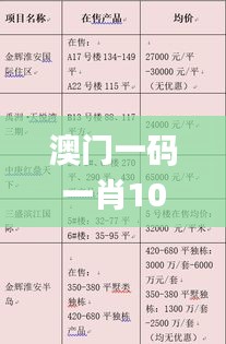 澳门一码一肖100准吗,实际调研解析_BAB53.406显示版