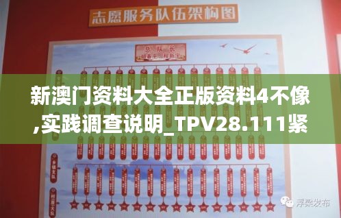 新澳门资料大全正版资料4不像,实践调查说明_TPV28.111紧凑版