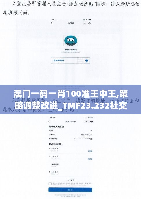 澳门一码一肖100准王中王,策略调整改进_TMF23.232社交版