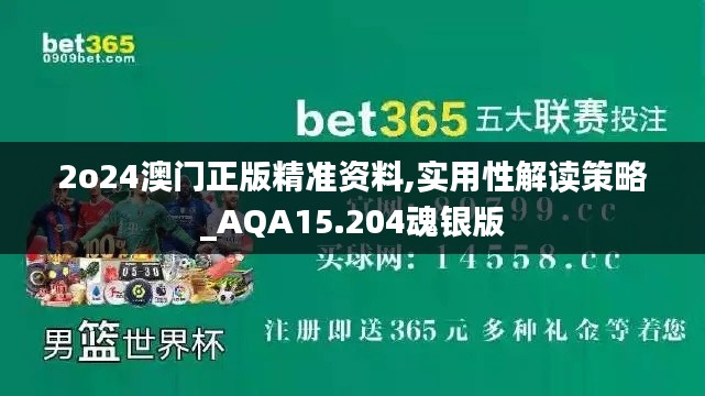 2o24澳门正版精准资料,实用性解读策略_AQA15.204魂银版