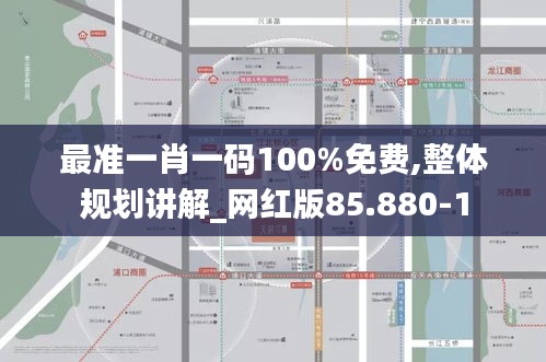 最准一肖一码100%免费,整体规划讲解_网红版85.880-1