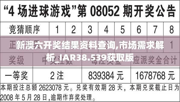 新澳六开奖结果资料查询,市场需求解析_IAR38.539获取版