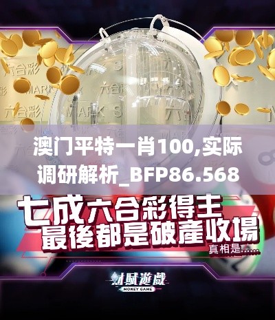 澳门平特一肖100,实际调研解析_BFP86.568效率版