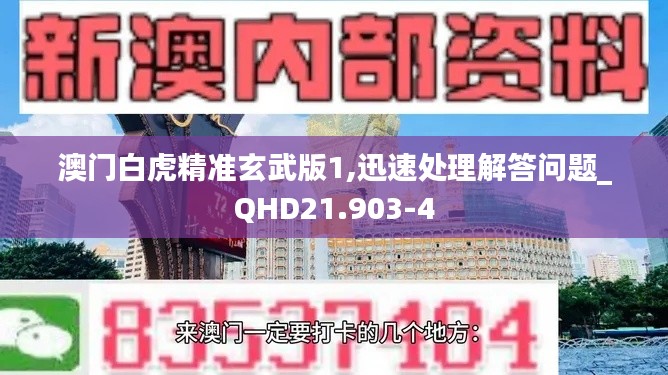 澳门白虎精准玄武版1,迅速处理解答问题_QHD21.903-4