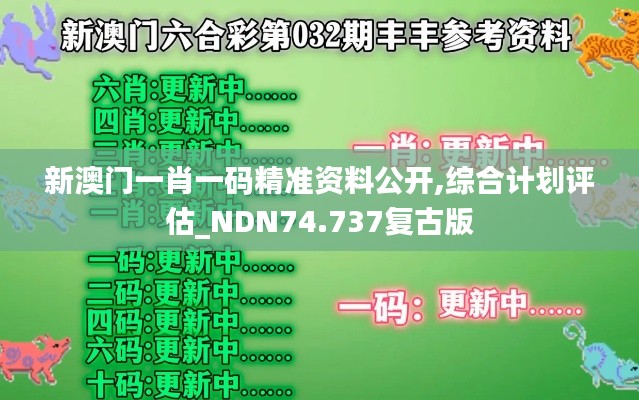 新澳门一肖一码精准资料公开,综合计划评估_NDN74.737复古版