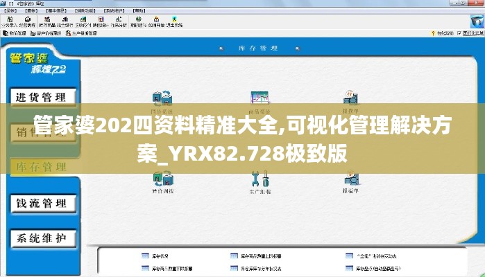 管家婆202四资料精准大全,可视化管理解决方案_YRX82.728极致版