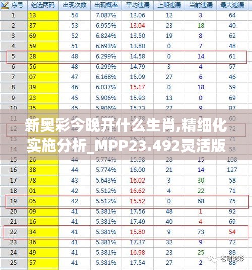 新奥彩今晚开什么生肖,精细化实施分析_MPP23.492灵活版