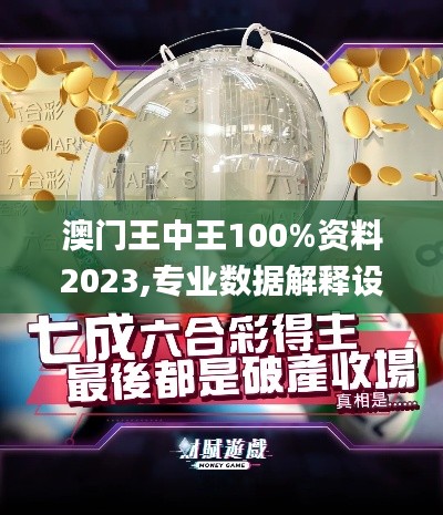 澳门王中王100%资料2023,专业数据解释设想_VDE61.282桌面版