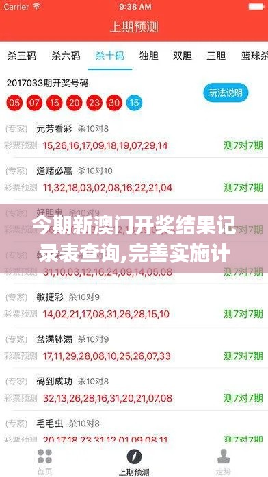 今期新澳门开奖结果记录表查询,完善实施计划_RNY51.835轻奢版