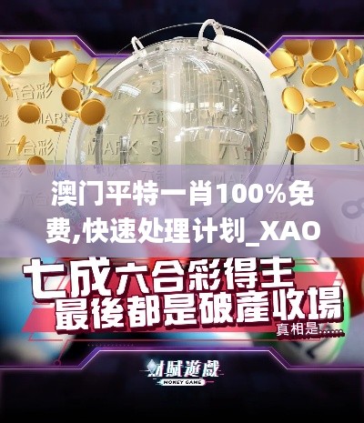 澳门平特一肖100%免费,快速处理计划_XAO38.655多元文化版