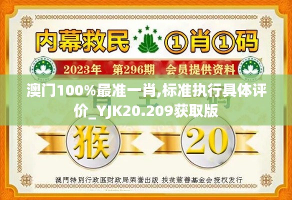 澳门100%最准一肖,标准执行具体评价_YJK20.209获取版