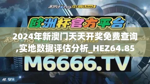 2024年新澳门天天开奖免费查询,实地数据评估分析_HEZ64.858装饰版