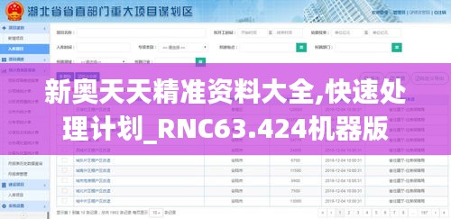 新奥天天精准资料大全,快速处理计划_RNC63.424机器版