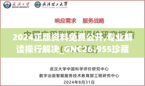 2024正版资料免费公开,专业解读操行解决_GNC26.955珍藏版