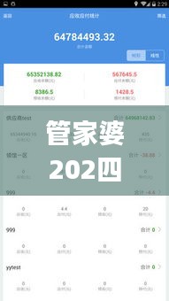 管家婆202四资料精准大全,实践数据分析评估_JGW28.676体验式版本