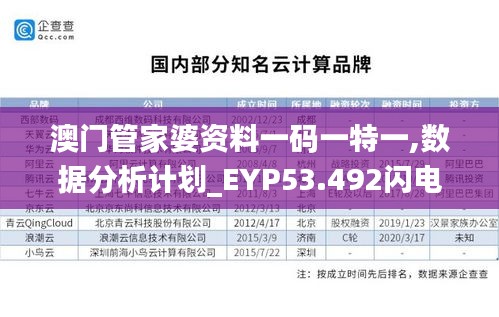 澳门管家婆资料一码一特一,数据分析计划_EYP53.492闪电版