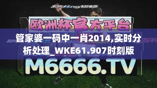 管家婆一码中一肖2014,实时分析处理_WKE61.907时刻版