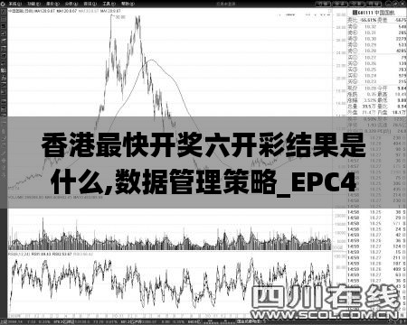 香港最快开奖六开彩结果是什么,数据管理策略_EPC49.305私人版