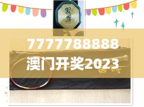 7777788888澳门开奖2023年一,稳定计划评估_桌面版33.382-8