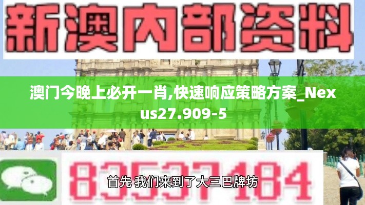 澳门今晚上必开一肖,快速响应策略方案_Nexus27.909-5