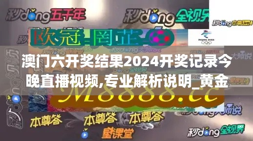 澳门六开奖结果2024开奖记录今晚直播视频,专业解析说明_黄金版117.251-7