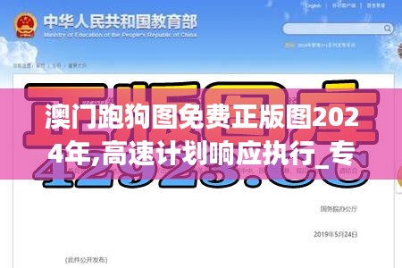 澳门跑狗图免费正版图2024年,高速计划响应执行_专属款28.315-1