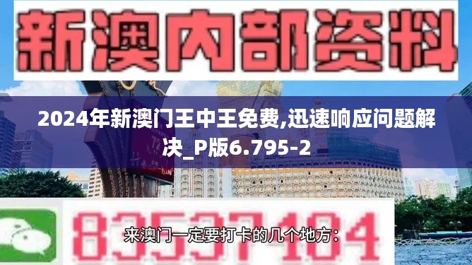 2024年新澳门王中王免费,迅速响应问题解决_P版6.795-2