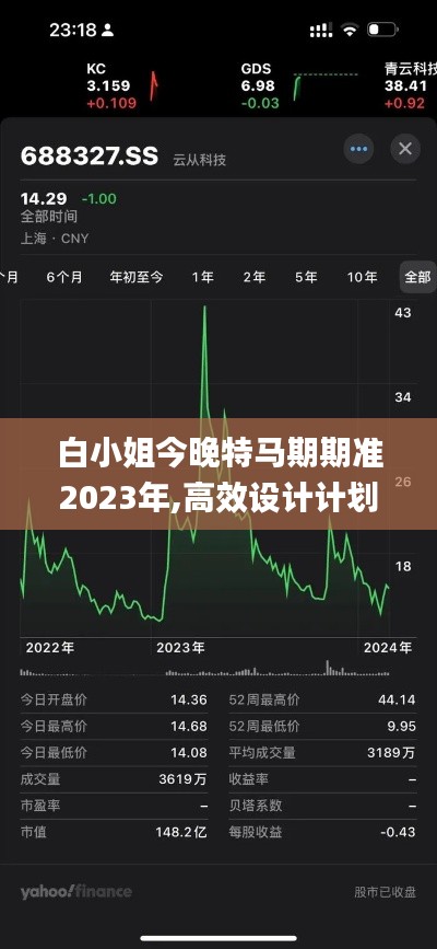 白小姐今晚特马期期准2023年,高效设计计划_Premium50.148-2