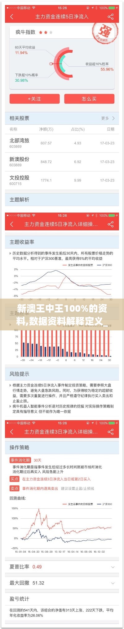 新澳王中王100%的资料,数据资料解释定义_XP188.752-9