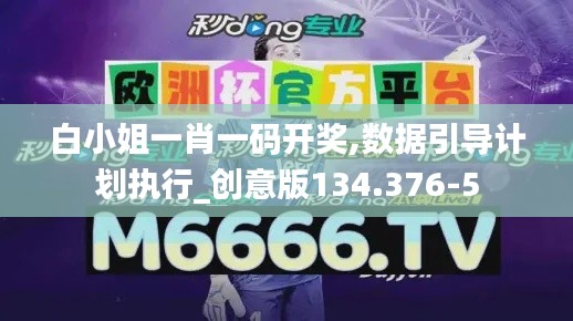 白小姐一肖一码开奖,数据引导计划执行_创意版134.376-5