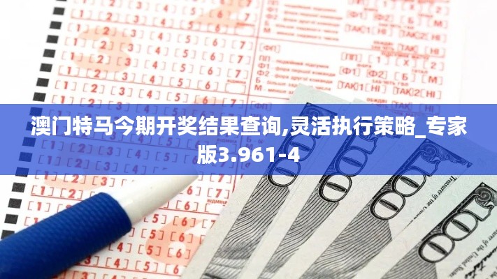 澳门特马今期开奖结果查询,灵活执行策略_专家版3.961-4