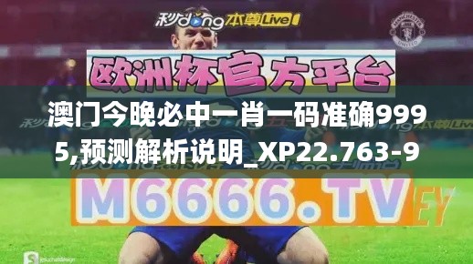 澳门今晚必中一肖一码准确9995,预测解析说明_XP22.763-9