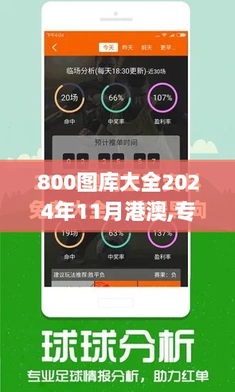 800图库大全2024年11月港澳,专业执行问题_桌面版9.439-5