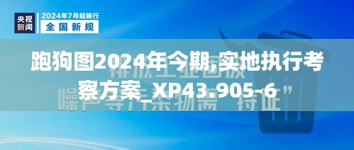 跑狗图2024年今期,实地执行考察方案_XP43.905-6