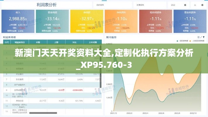 新澳门天天开奖资料大全,定制化执行方案分析_XP95.760-3