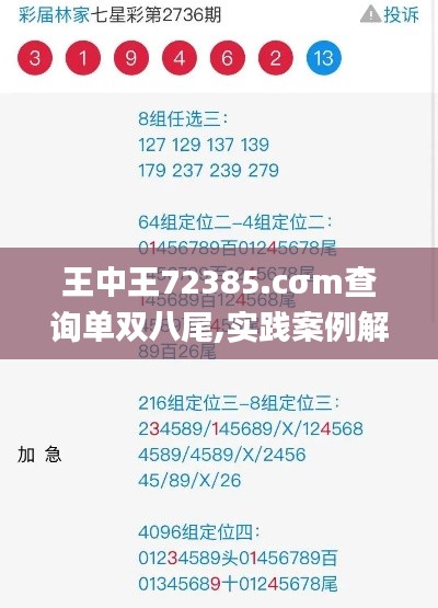 王中王72385.cσm查询单双八尾,实践案例解析说明_云端版10.491