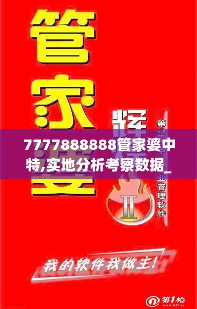 7777888888管家婆中特,实地分析考察数据_Lite52.635-8