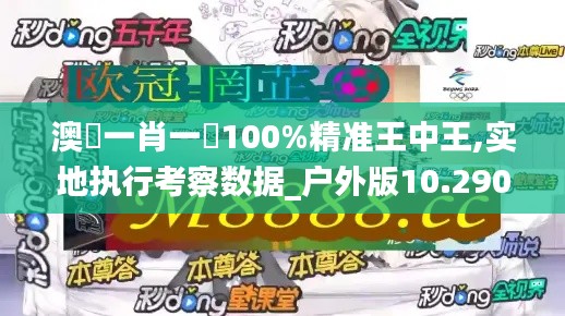 澳門一肖一碼100%精准王中王,实地执行考察数据_户外版10.290-8