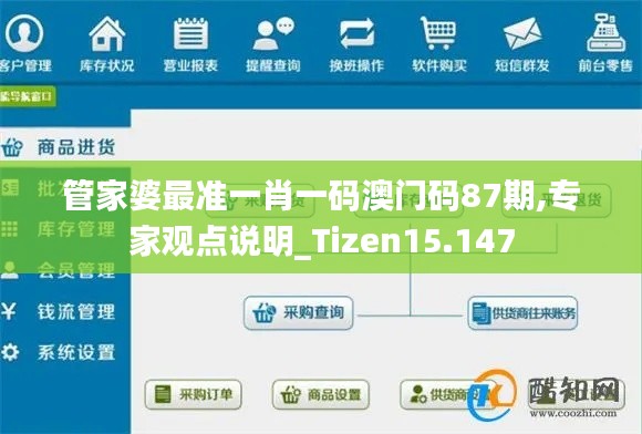 管家婆最准一肖一码澳门码87期,专家观点说明_Tizen15.147