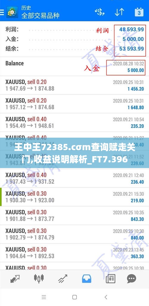 王中王72385.cσm查询赋走关门,收益说明解析_FT7.396