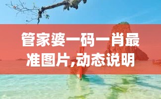 管家婆一码一肖最准图片,动态说明解析_模拟版7.909