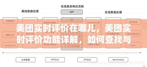 美团实时评价功能指南，如何查找、使用详解及功能特点