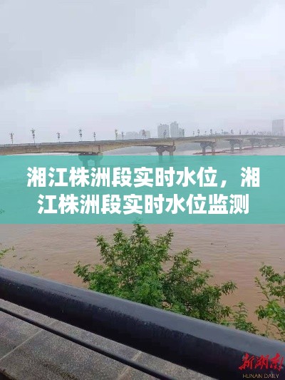 湘江株洲段实时水位监测，保障水域安全与稳定